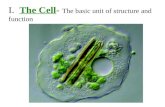 I. The Cell- The basic unit of structure and function.