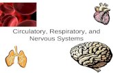Circulatory, Respiratory, and Nervous Systems Structures: –Heart –Blood –Blood vessels: Arteries = carry oxygenated blood AWAY from the heart Veins =