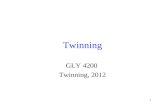 1 Twinning GLY 4200 Twinning, 2012. 2 Twinning Illustration The twin plane cannot be a part of the normal symmetry of a crystal.