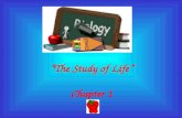 “The Study of Life” Chapter 1. I. What is Biology? A. Biology - the study of living things/ organisms.