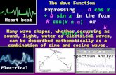 The Wave Function Heart beat Electrical Many wave shapes, whether occurring as sound, light, water or electrical waves, can be described mathematically.