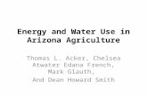 Energy and Water Use in Arizona Agriculture Thomas L. Acker, Chelsea Atwater Edana French, Mark Glauth, And Dean Howard Smith.
