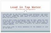 LEAD WAS ONE OF THE MOST COMMONLY USED MATERIALS FOR PIPES IN THE PAST. HOWEVER, LEAD IS SOLUBLE IN WATER, AND THUS, CAN EASILY ENTER THE BODY WHEN IT.
