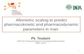 1 Allometric scaling to predict pharmacokinetic and pharmacodynamic parameters in man PL Toutain UMR 181 Physiopathologie et Toxicologie Expérimentales.