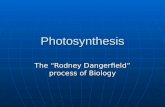 Photosynthesis The “Rodney Dangerfield” process of Biology.