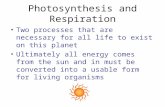 Photosynthesis and Respiration Two processes that are necessary for all life to exist on this planet Ultimately all energy comes from the sun and in must.