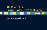 NEOPLASIA VI Tumor Host Interactions Husni Maqboul, M.D.