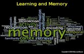 Learning and Memory. Lecture Outline Hypotheses of learning and memory Short-term memory Long-term memory Learning and synaptic plasticity.