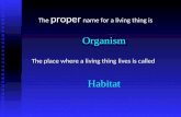 Organism The place where a living thing lives is called The proper name for a living thing is Habitat.
