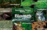 Biomes 4.3. Biomes What is a biome? A complex of terrestrial communities that cover a large area characterized by certain soil and climate conditions.