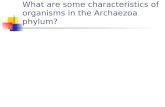What are some characteristics of organisms in the Archaezoa phylum?