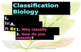 I. Introduction A. Background Classification Biology 1. Why classify organisms? 2. How do you classify?