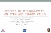 EFFECTS OF MICROGRAVITY ON STEM AND IMMUNE CELLS Presented by: Tyrene Hubbard PI: Dr. David Harris Arizona Space Grant Symposium Tucson, Arizona April.
