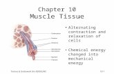 Tortora & Grabowski 9/e  2000 JWS 10-1 Chapter 10 Muscle Tissue Alternating contraction and relaxation of cells Chemical energy changed into mechanical.