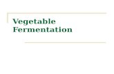 Vegetable Fermentation. Traditional fermentations Under appropriate conditions, most vegetables will undergo a spontaneous lactic acid fermentation Example.