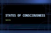 Subtitle. Levels of Consciousness  Conscious level: information about yourself and your environment you are currently aware of  Nonconscious level: