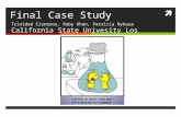 Final Case Study Trinidad Cisneros, Ruby Khan, Patricia Nykaza California State Univesity Los Angeles.