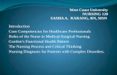 Introduction Core Competencies for Healthcare Professionals Roles of the Nurse in Medical-Surgical Nursing Gordon’s Functional Health Pattern The Nursing.