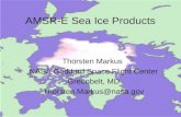 AMSR-E Sea Ice Products Thorsten Markus NASA Goddard Space Flight Center Greenbelt, MD Thorsten.Markus@nasa.gov.
