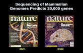 Sequencing of Mammalian Genomes Predicts 30,000 genes 20012002.