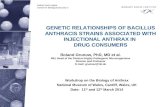 GENETIC RELATIONSHIPS OF BACILLUS ANTHRACIS STRAINS ASSOCIATED WITH INJECTIONAL ANTHRAX IN DRUG CONSUMERS Robert Koch-Institut Centre for Biological Security.