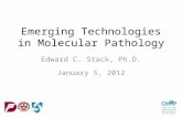 Emerging Technologies in Molecular Pathology Edward C. Stack, Ph.D. January 5, 2012.