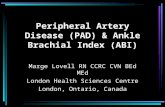 Peripheral Artery Disease (PAD) & Ankle Brachial Index (ABI) Marge Lovell RN CCRC CVN BEd MEd London Health Sciences Centre London, Ontario, Canada.