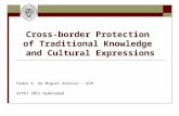 Cross-border Protection of Traditional Knowledge and Cultural Expressions Pedro A. De Miguel Asensio – UCM AIPPI 2011 Hyderabad.