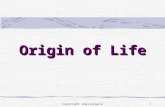 1 Origin of Life copyright cmassengale. 2 Aristotle (384 –322 BC) Proposed the theory of spontaneous generation Also called abiogenesis Idea that living.