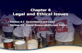 Government and Laws Chapter 6 Legal and Ethical Issues Section 6.1 Government and Laws Section 6.2 Social Responsibility and Ethics Section 6.1 Government.
