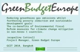 GBG Reducing greenhouse gas emissions whilst furthering poverty reduction and sustainable development goals: The co-benefits of Environmental Fiscal Reform.