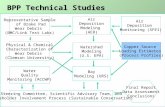 6/22/05 BPP Stakeholder MeetingProcess Profiles1 Copper Source Loading Estimates (Process Profiles) Physical & Chemical Characterization of Wear Debris.