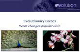 2007-2008 Evolutionary Forces What changes populations?