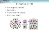 Lesson Overview Lesson Overview Genes and Variation Genetic Drift Small populations Definition Genetic bottleneck Founder effect.