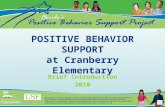 POSITIVE BEHAVIOR SUPPORT at Cranberry Elementary Brief Introduction 2010.