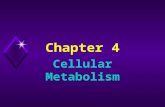 Chapter 4 Cellular Metabolism. 4 - 2 u Introduction A.A living cell is the site of enzyme-catalyzed metabolic reactions that maintain life.