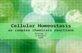 Cellular Homeostasis as complex chemicals reactions Biology 11 G.Burgess 2007.