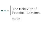 The Behavior of Proteins: Enzymes Chapter 6. Enzymes are effective biological catalysts Enzyme: a biological catalyst that can speed up the rate of a.