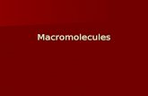 Macromolecules Carbohydrates Elements - Carbon(C), Hydrogen(H) Elements - Carbon(C), Hydrogen(H), and Oxygen(O). Structural unit -monosaccharide (one.