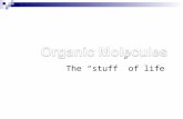 The “stuff” of life. Organic Molecules What do they have in common?