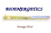 1 BIOENERGETICS Energy Flow. 2 What is Bioenergetics? energyliving systems organisms The study of energy in living systems (environments) and the organisms.