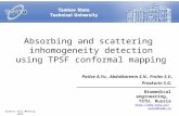 Absorbing and scattering inhomogeneity detection using TPSF conformal mapping Potlov A.Yu., Abdulkareem S.N., Frolov S.V., Proskurin S.G. Biomedical engineering,