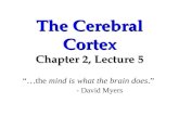 The Cerebral Cortex Chapter 2, Lecture 5 “…the mind is what the brain does.” - David Myers.