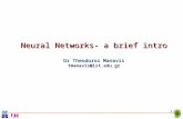 1 Neural Networks- a brief intro Dr Theodoros Manavis tmanavis@ist.edu.gr.