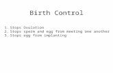Birth Control 1.Stops Ovulation 2.Stops sperm and egg from meeting one another 3.Stops egg from implanting.
