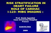 RISK STRATIFICATION IN HEART FAILURE ROLE OF CARDIAC I-123- MIBG IMAGING : Prof. Denis Agostini Caen University Hospital France BARCELONA 2009.