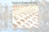 Global Biodiversity. Global Biodiversity Patterns and Processes.