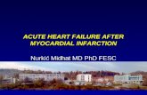 ACUTE HEART FAILURE AFTER MYOCARDIAL INFARCTION Nurkić Midhat MD PhD FESC.