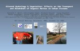 Altered Hydrology & Vegetation: Effects on the Transport and Breakdown of Organic Matter in Urban Streams Kenneth T. Belt 1, Christopher Swan 2, Richard.