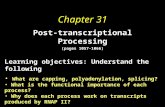 Chapter 31 Post-transcriptional Processing (pages 1057-1066) Learning objectives: Understand the following What are capping, polyadenylation, splicing?